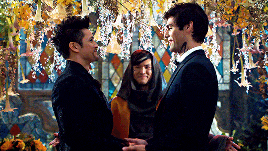 Alec and Magnus: Husband/Husband - Shadowhunters