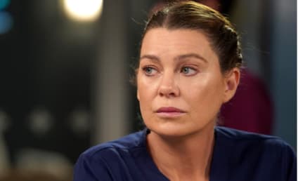 Grey's Anatomy Could Be Ending This Season, According to Ellen Pompeo