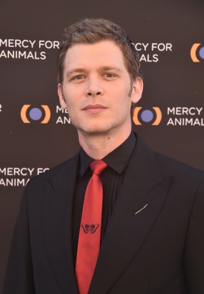 Joseph Morgan attends the Mercy For Animals 20th Anniversary Gala