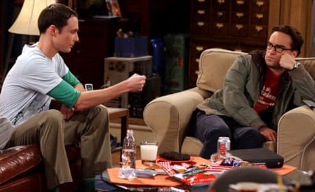 The big bang sale theory season 2 episodes