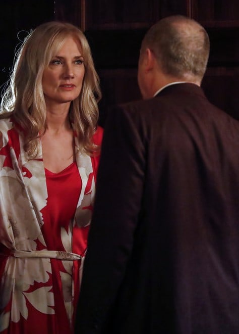 Former Couple - The Blacklist Season 7 Episode 12