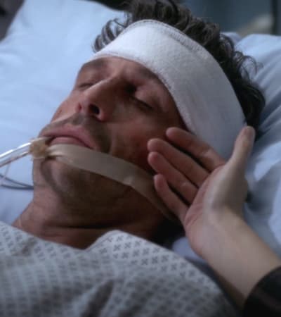 greys plagued revolving