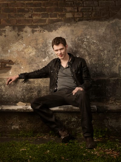 Klaus Vampire diaries Joseph morgan, Matt vampire diaries, Klaus from vampire diaries
