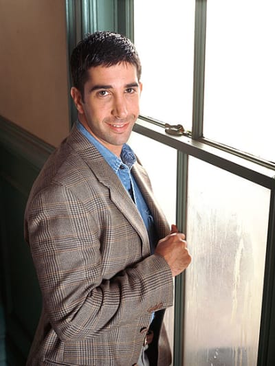 David Schwimmer Promo Pic - Friends