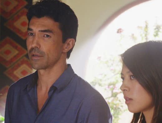 Hawaii Five 0 Season 8 Episode 19 Review Where The Bodies Are Buried Tv Fanatic