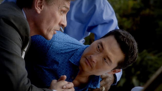 Chin Arrrested - Hawaii Five-0 Season 5 Episode 18