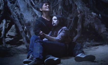 Teen Wolf Review: The Scorpion and the Turtle