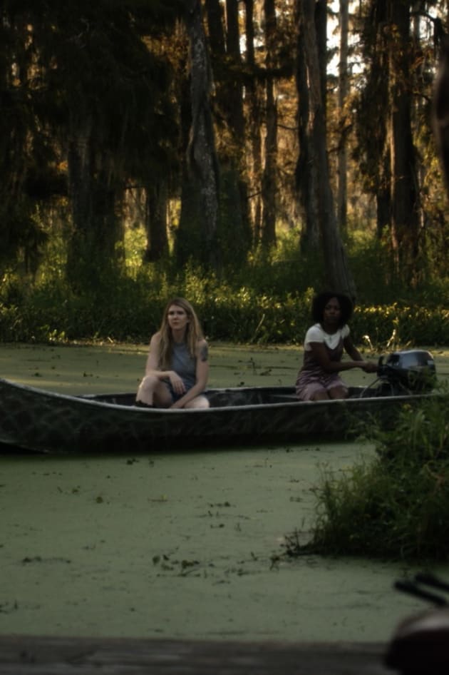 In the Bayou