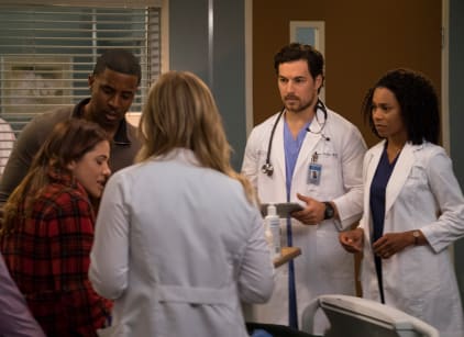 Watch season 14 grey's discount anatomy