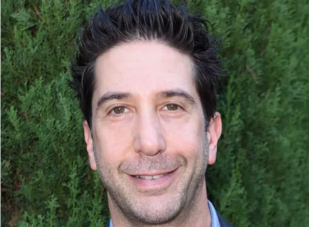 Friends Star David Schwimmer Apologizes for Diversity Comments: 'I Didn ...