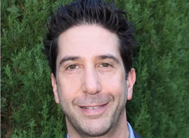 Friends Star David Schwimmer Apologizes for Diversity ...