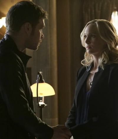 klaroline 5