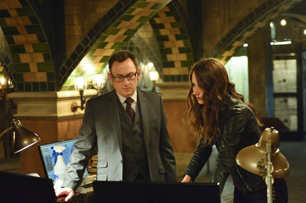 The Voice - Person of Interest
