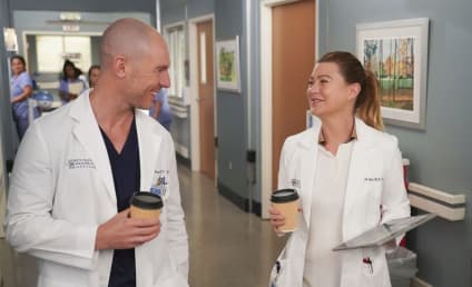 Grey’s Anatomy Ending Soon? ABC Exec On Hit Drama's Future