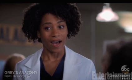 Grey's Anatomy Sneak Peek: A Sisterly Act