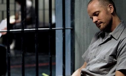 Peter Sarsgaard Previews Season 3 of The Killing, Dark New Role