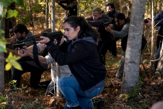 The Walking Dead Saison 8 Episode 16 The Walking Dead Season 8 Episode 16 Review: Wrath - TV Fanatic