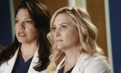 Grey's Anatomy Review: A Little Love Spell