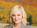 Amy Poehler Promo Picture