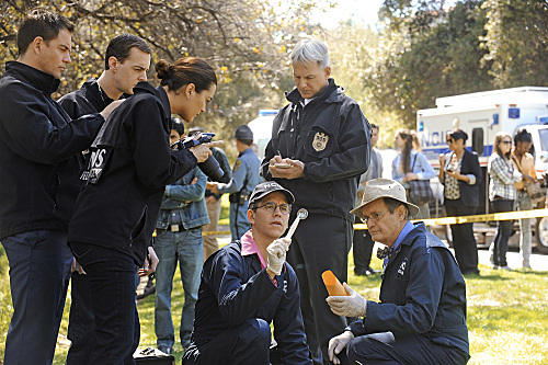 All NCIS Hands on Deck