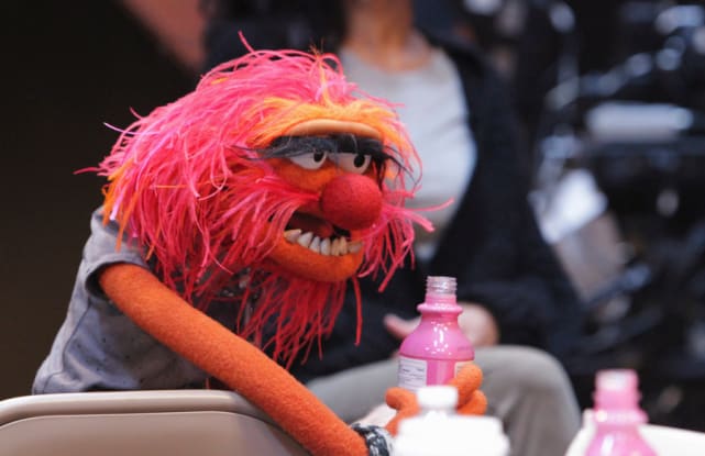 The morning after the muppets