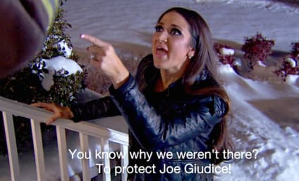 The Real Housewives of New Jersey Review: Poop On Her Face