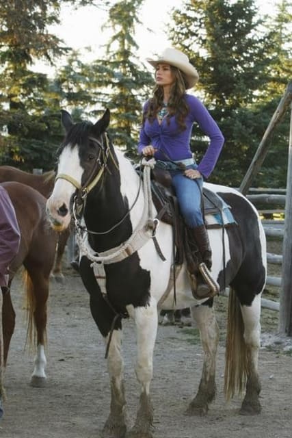 Modern Family Season 3 Episode 1 Dude Ranch Quotes Tv Fanatic