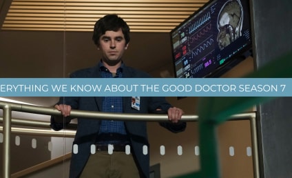The Good Doctor Season 7: Everything You Need to Know