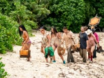 Thrown Together - Survivor