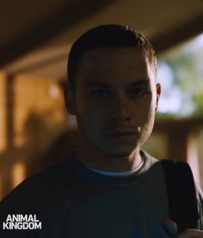Animal Kingdom Season 5 Trailer Running Wild Running Sh t TV