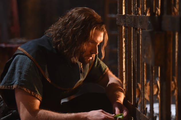 - The Bastard Executioner