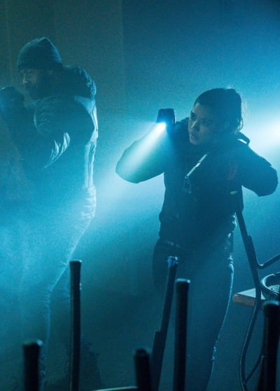 Chicago pd season 7 episode 17 watch online store