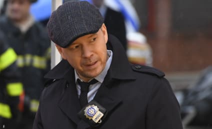 Blue Bloods Cast on Amy Carlson's Exit: It Was a Shock!
