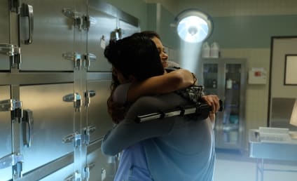 Teen Wolf Season 6 Episode 11 Review: Said the Spider to the Fly