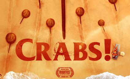 Crabs! Is a Low-Budget Creature Feature with a Surprising Bite 