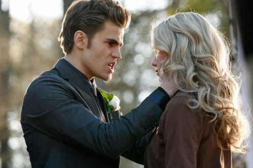 Stefan Caption Pic