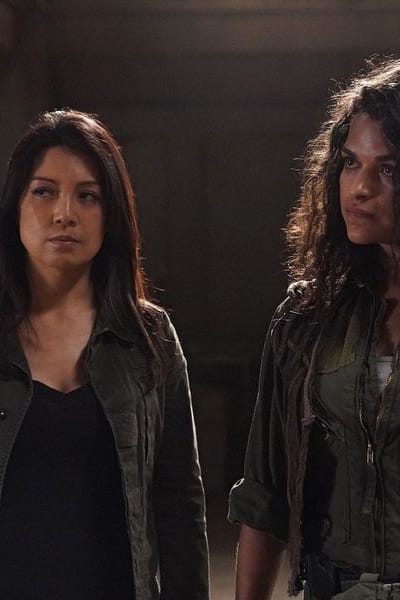 Marvel's agents shop of shield putlocker