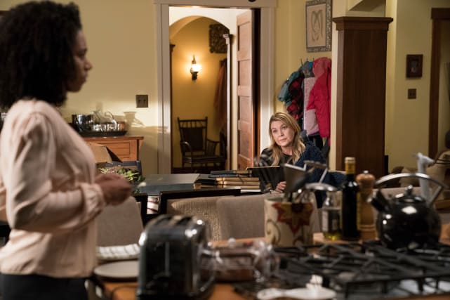 Sisterly Intervention - Grey's Anatomy Season 14 Episode 15
