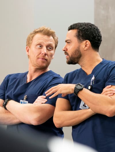 Grey's anatomy season 15 top episode 13 watch series
