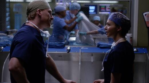 grey's s13 omelia