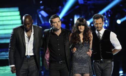 The Voice Finale: Crowning A Champion
