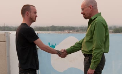 Breaking Bad Season 4 Finale Review: Who Won?