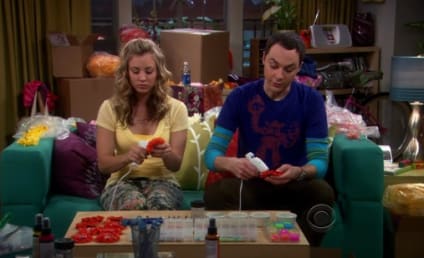 The Big Bang Theory Recap: "The Work Song Nanocluster"