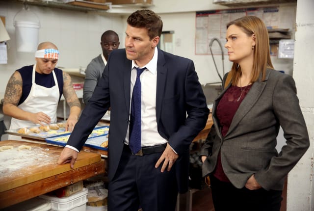 Watch Bones Season 10 Episode 13 Online TV Fanatic