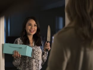the perfectionists watch online