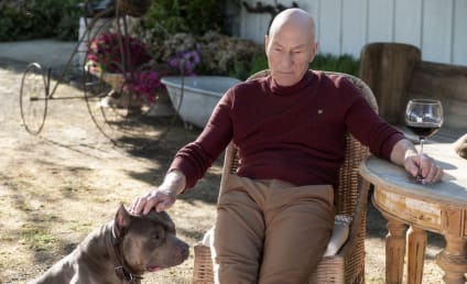 Star Trek: Picard Production Halted After Dozens Test Positive for COVID-19