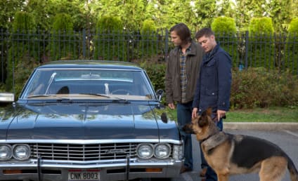 Supernatural Review: Scooby Dean