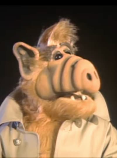 Alf's Fate is Sealed in the Alf Series Finale