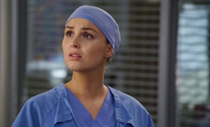 Watch Grey's Anatomy Online: Season 13 Episode 14