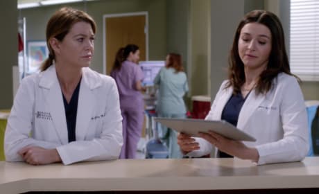 Grey s Anatomy Season 13 Episode 23